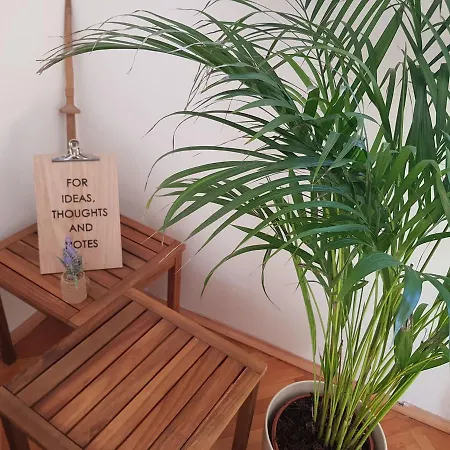 Appartement Maca *